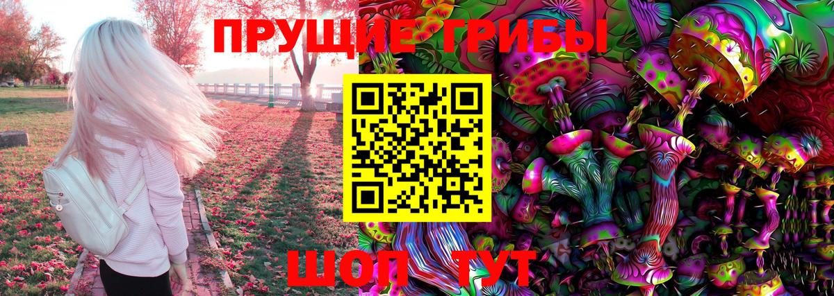 Михайловка  Псилоцибиновые грибы Psilocybe  Вход с VPN 