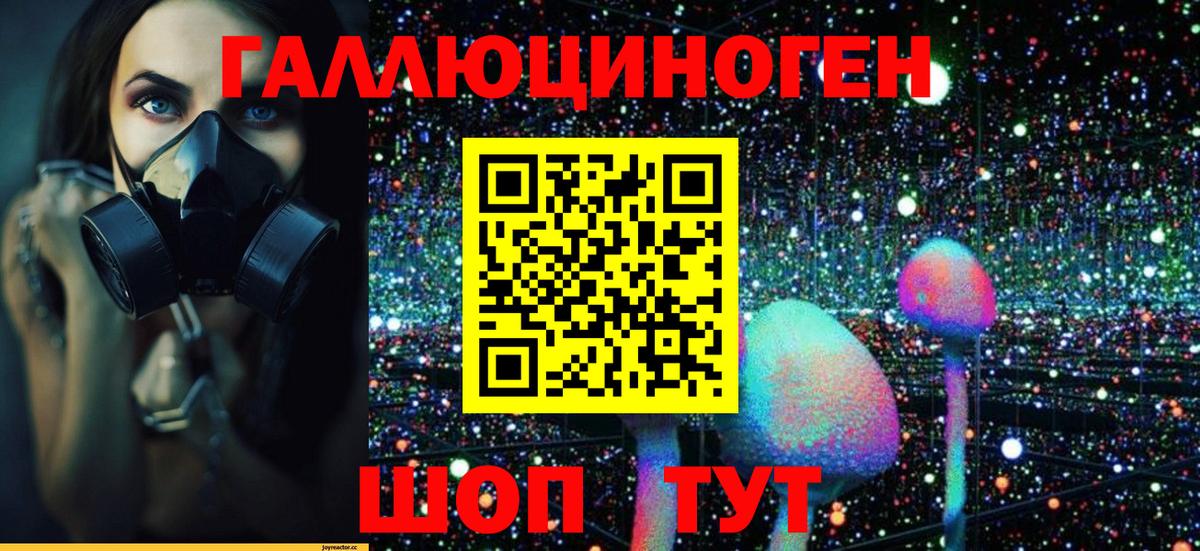 Псилоцибиновые грибы GOLDEN TEACHER Михайловка